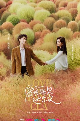 免费人成视在线观看不卡