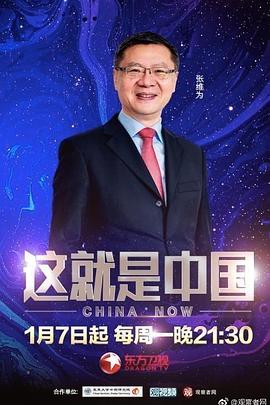 久久综合精品国产二区无码